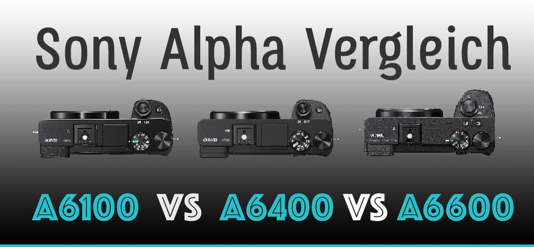 Sony A6100 vs. A6400 vs. A6600 Vergleich Für wen ist welche Kamera?