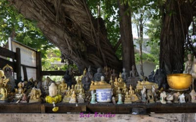 8 Days in Thailand Bangkok inkl. Vlog, Fotos & Tipps