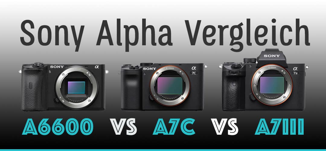 Sony Alpha A6600 vs A7C vs A7III Vergleich