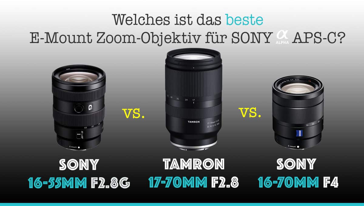 SONY - ☆美品☆ SONY ZEISS 16-70mm F4 SEL1670Zの+spbgp44.ru