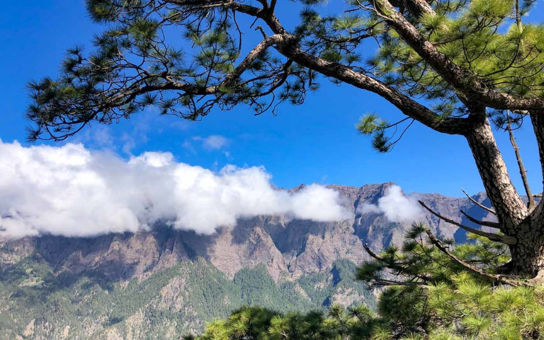 La Palma Reiseblog + Aktuelles zur Vulkan Katastrophe