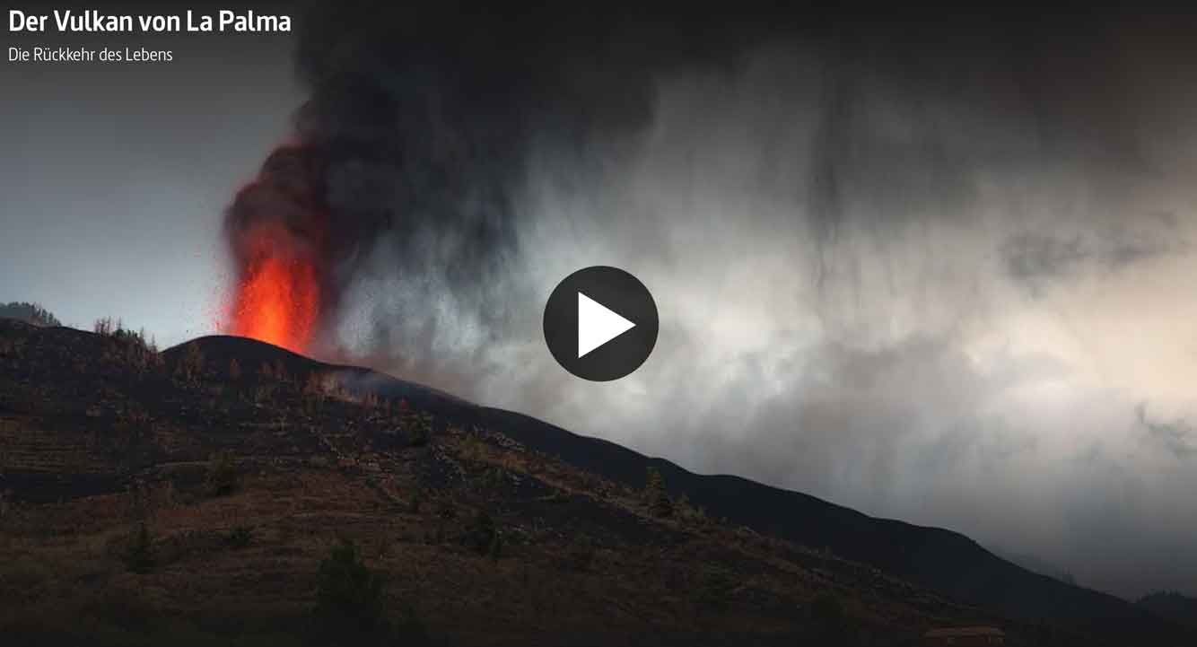 la-palma-update-vulkan-ausbruch-reportage-arte