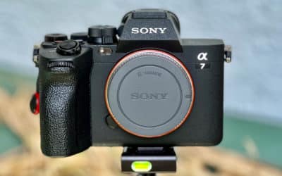 Test Sony Alpha 7 IV: Meine Meinung inkl. Bilder + Video