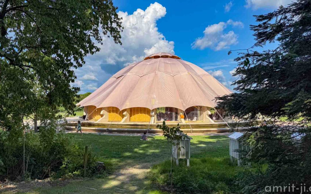 Yoga Mela 2025 – Ein schwedischer Sommer in Orange